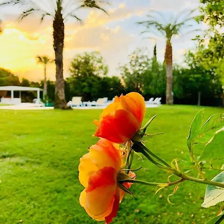 فندق بالاس 4*