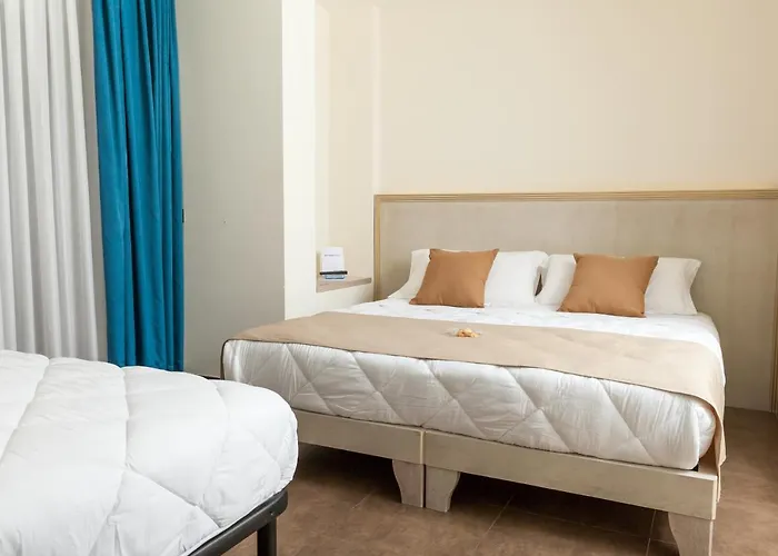 莫迪卡皇宫酒店 酒店 莫迪卡