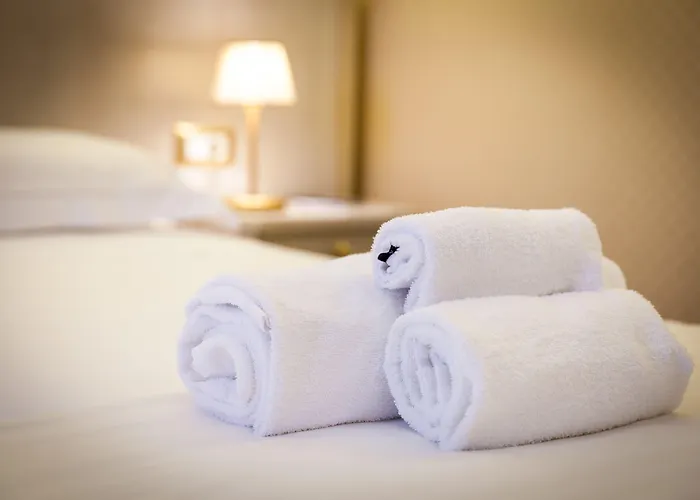 酒店 莫迪卡皇宫酒店 4*