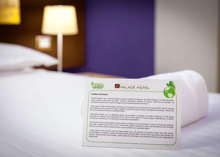 莫迪卡皇宫酒店 酒店 4*