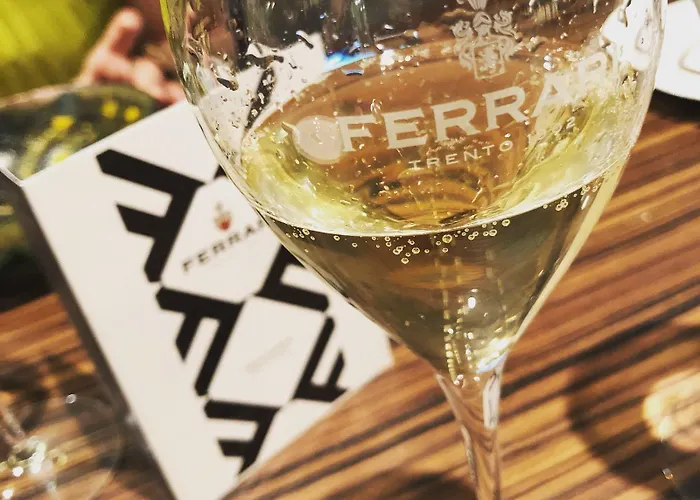 莫迪卡皇宫酒店
