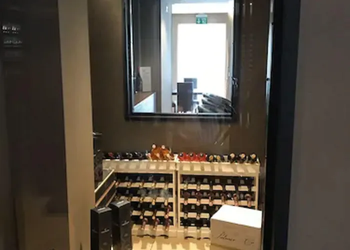 莫迪卡皇宫酒店 莫迪卡
