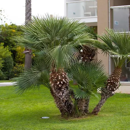 Hotel Palace 4*